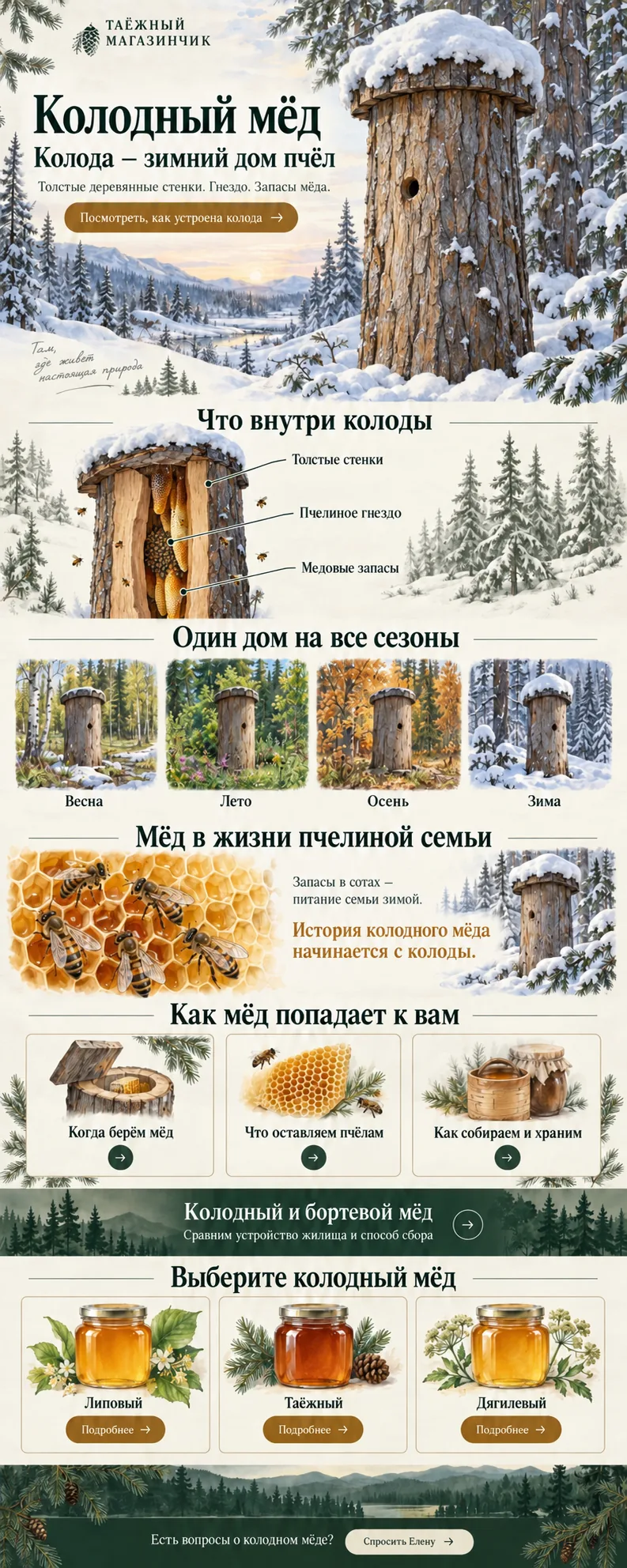 Эскиз страницы «Колодный мёд»
