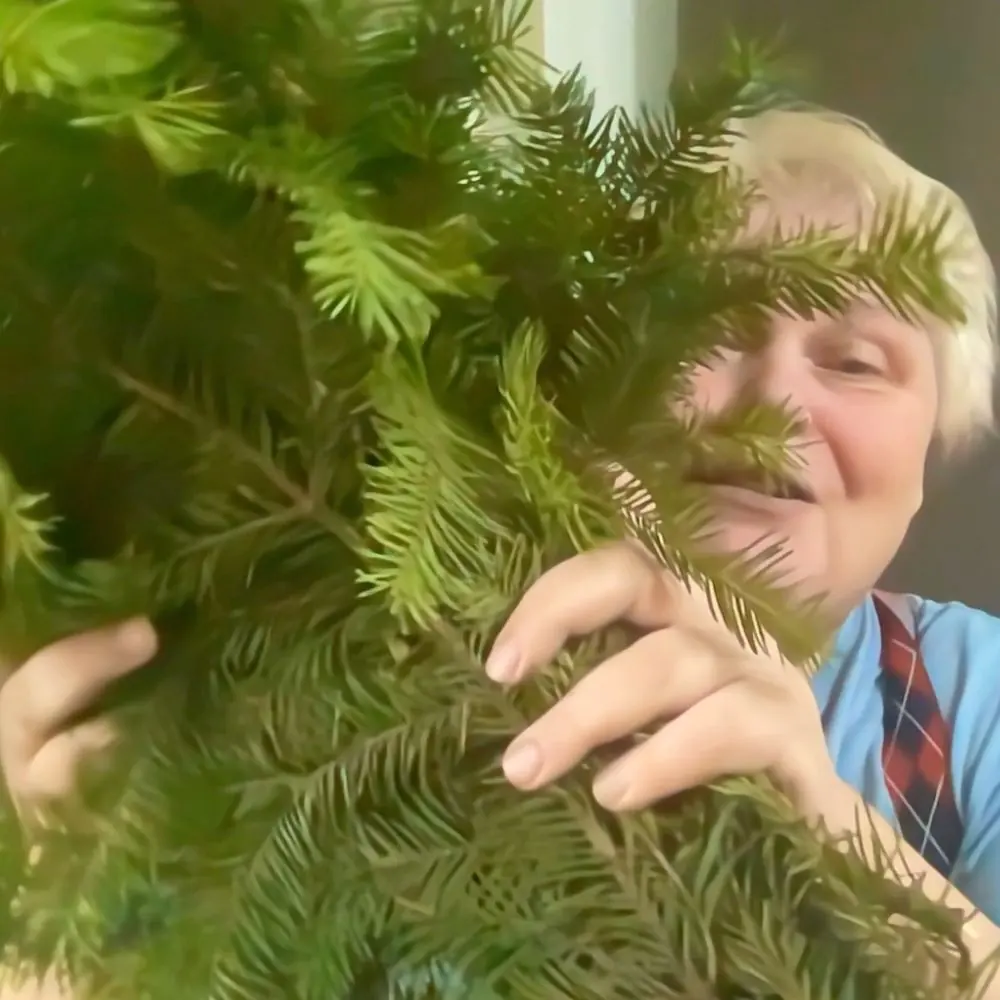 Пихтовые лапы · фото 2